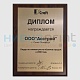 Диплом Craft