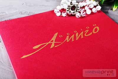 Папка Амиго шелкография